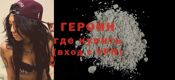 прущие грибы Ельня