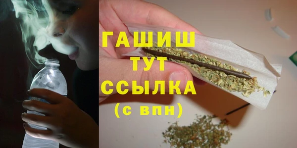 МДПВ Дмитриев