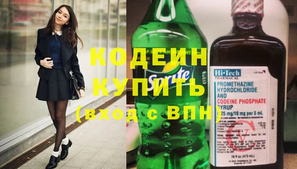 прущие грибы Ельня