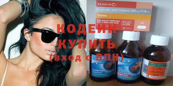 прущие грибы Ельня