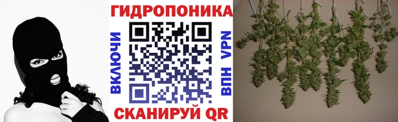 Каннабис LSD WEED  где продают наркотики  Ачинск 